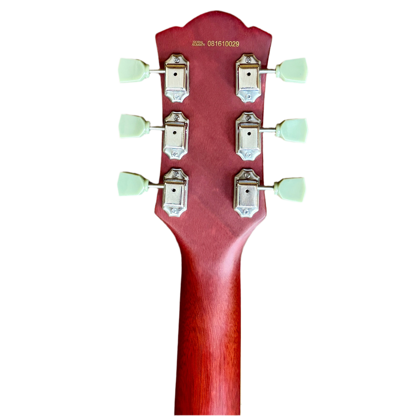 Bad Cat Instruments Les Paul Style Electric Guitar